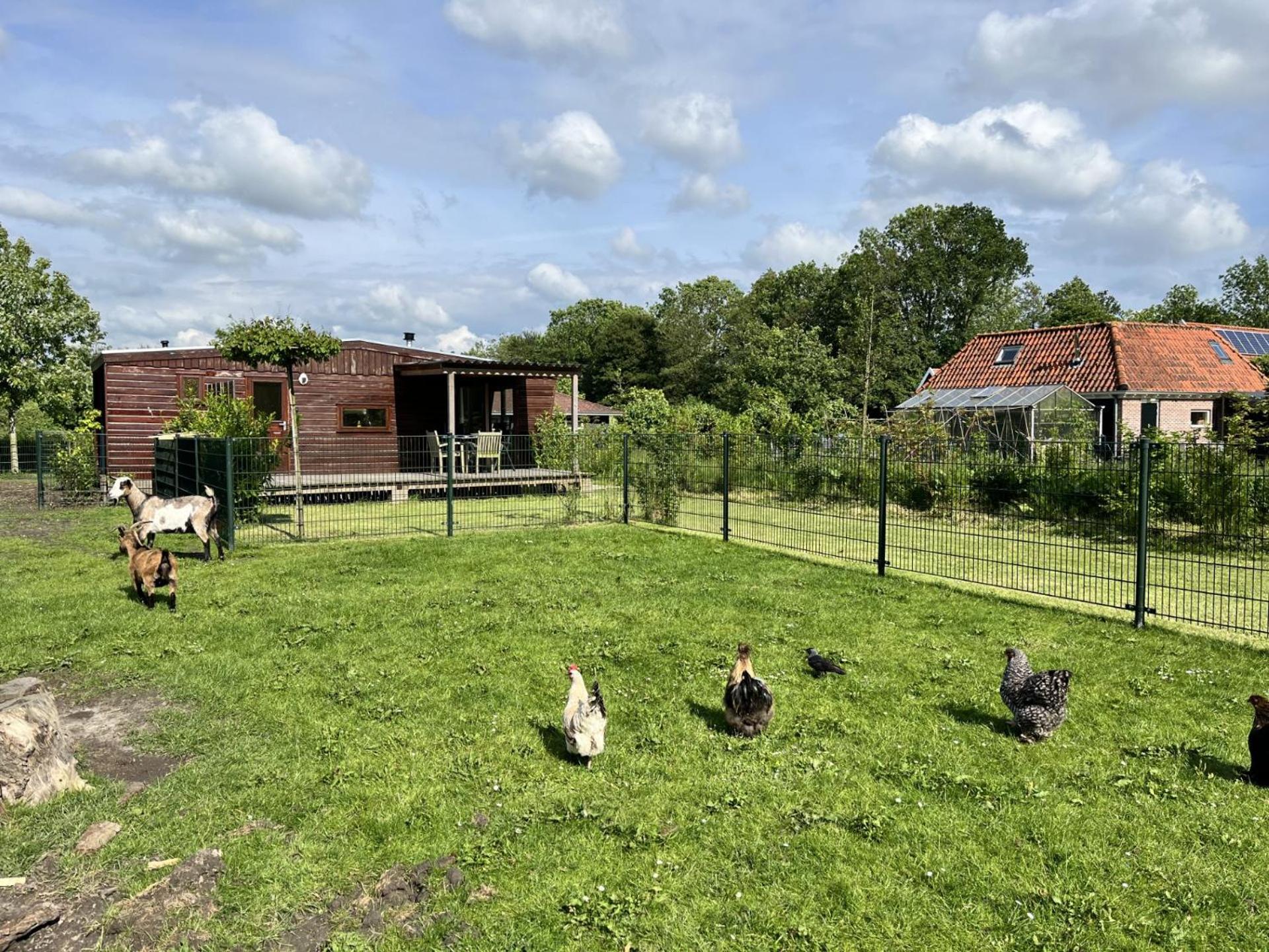 Vrijstaand Chalet Met Veel Buitenruimte En Veranda Vila Zuid-Scharwoude Exterior foto